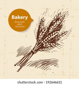 Bakery sketch background. Vintage hand drawn illustration