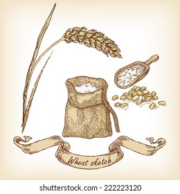 Bakery sketch. Hand drawn illustration of wheat and grain