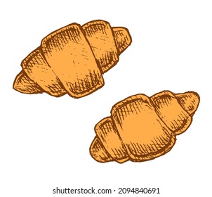 Baking bagels on a white plate. Wheat flour confectionery. Delicious healthy food. Bakery design element. Vector isolated hand drawn illustration