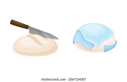 Baking bread process set. Dough rested under overlay and unbaked bread vector illustration