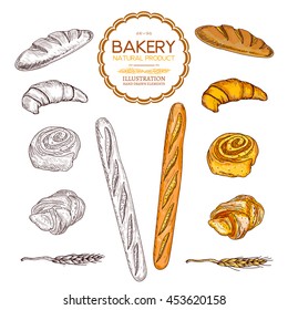 Baking collection baguettes bread and rolls collection hand drawn vector 
