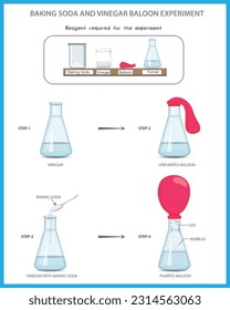 Baking Soda and Vinegar Balloon Science experiment. Baking soda and vinegar experiment vector illustration. Chemistry experiment with baking soda and viniger. chemistry project experiment. 