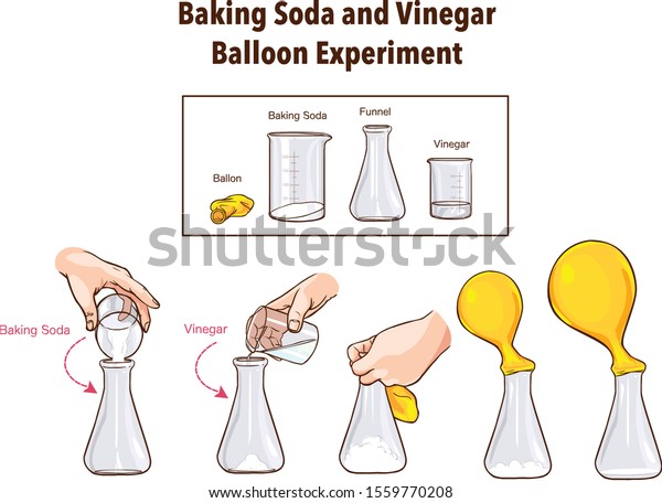 Baking Soda And Vinegar Balloon Experiment Science