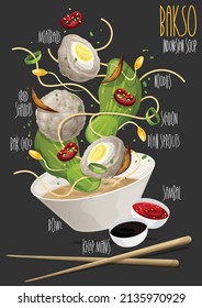 Bakso, Indonesian Famous Meatballs served with noodles. Vector illustraton