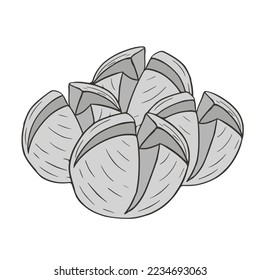 Bakso Indonesian Food Meat Ball Hand Drawn Doodle Vector Illustration