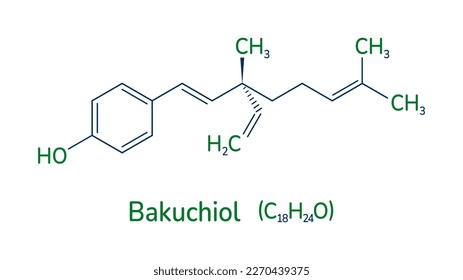 Bakuchiol chemical formula vector illustration. Meroterpene skeletal structure . A natural alternative to retinol molecule image and text. Can use for medical, cosmetic and scientific designs.