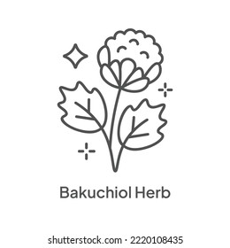 Qualitätssymbol für Bakuchiol-Herb-Inhaltsstoffe