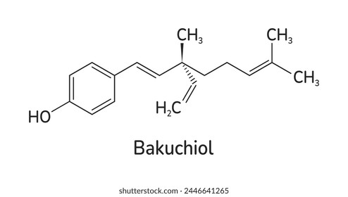 Bakuchiol skeletal formula vector illustration. Meroterpene chemical structure. A natural alternative to retinol molecule image and text. Can use for medical, cosmetic and scientific designs