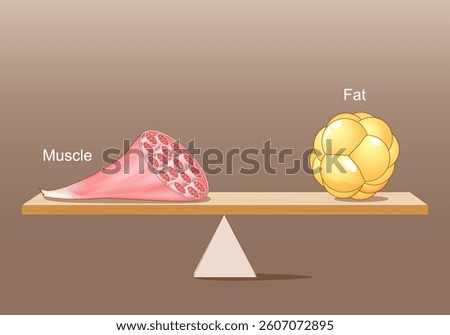 Balance between muscle and fat. Concept of weight loss, health, fitness, and diet. Vector illustration