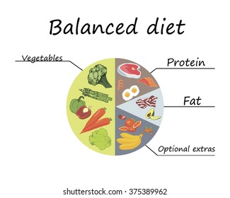 30,647 Balanced diet plate Images, Stock Photos & Vectors | Shutterstock
