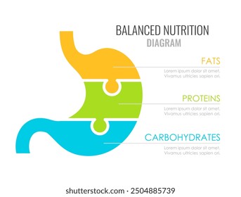 Balanced diet icon with stomach puzzle diagram on white background. Infographics template for medical leaflets or flyers.