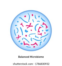 Balanced microbiome. Normal flora of the skin and mucous membranes. Probiotics. Lactic acid bacteria. Good bacteria and microorganisms for gut and intestinal flora health. Bifidobacterium, lactobacill