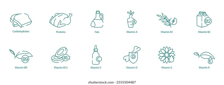 Balanced Nutrition Icon Set - Carbohydrates, Proteins, Fats, A, B1, B2, B9, B12, C, D, E, and K for Health and Wellness