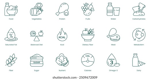 Balanced Nutrition Vector Icons: Food, Vegetables, Protein, Fruits, Water, Carbohydrates, Saturated Fats, Balanced Diet, Calories, Dietary Fiber, Meat, Metabolism, Fiber, Sugar, Nutrients, Omega-3
