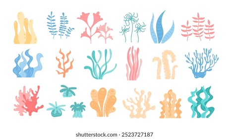 Balanced set of vector aquatic elements including different types of seaweed and coral. Depicts underwater marine life, ideal for ocean reef and marine life environment.