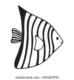 Balck and white fish on white backdrop