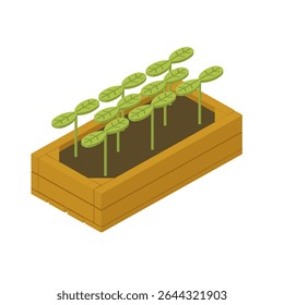 Balcony flower pot with sprouts - hand drawn isometric vector illustration.