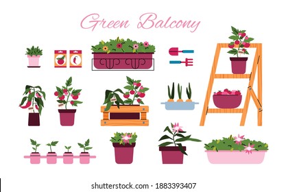 Balcony Gardening Set. Potted Flowers, Hanging Green Plants, Houseplants, Seeds And Tools For City Garden. A Set Of Vector Illustrations Isolated On A White Background.