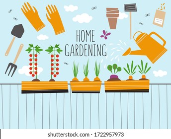 Balcony kitchen garden with the harvest and tools