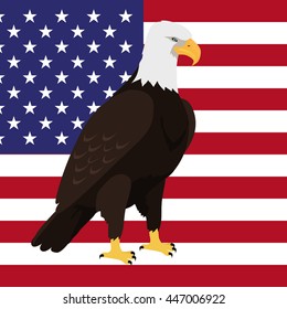 Bald big eagle witn white fead on American flag background vector. USA national bird symbol and flag for patriotic national symbolic elections illustrating. 4 july