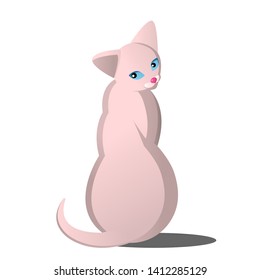 Bald cat of sphinx breed of light color with blue eyes. Stylish vector flat illustration in cartoon style. Cat on a white background