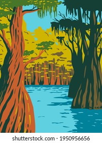 Bald Cypress Growing in the Swamp of Owl Creek in Apalachicola National Forest Located in the Florida Panhandle WPA Poster Art