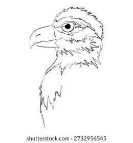 Bald Eagl. Vector stock illustration. A flying bird. The doodle. Isolated on a white background.