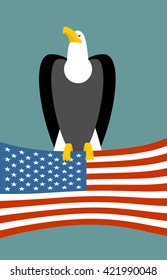Bald eagle and American flag. USA national symbol of bird. Large birds of prey and flag state