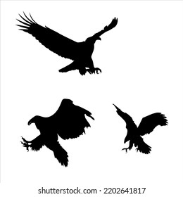 Bald eagle approaching landing in silhouette stock illustration