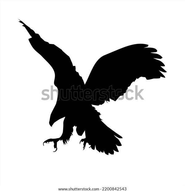 Bald Eagle Approaching Landing Silhouette Stock Stock Vector (Royalty ...