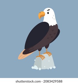 Bald Eagle as Arctic Animal Sitting on Stone Vector Illustration