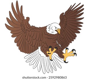 Bald Eagle in Attack Pose with Outstretched Wings and Sharp Talons