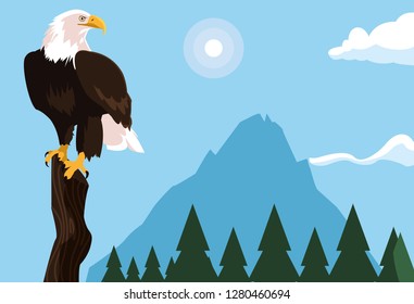 bald eagle bird in the branch with landscape