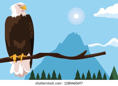 bald eagle bird in the branch with landscape