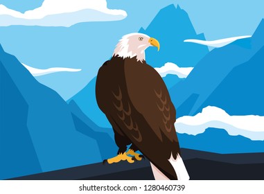 bald eagle bird in the branch with landscape