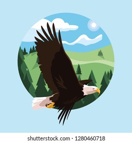 bald eagle bird flying with landscape
