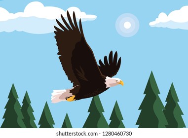 bald eagle bird flying with landscape