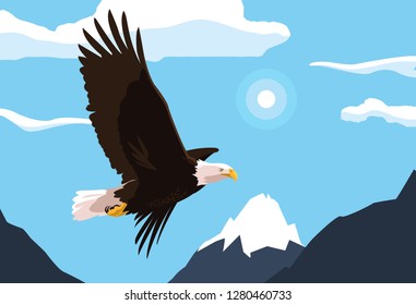 bald eagle bird flying with landscape
