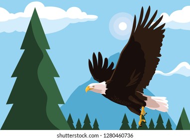 bald eagle bird flying with landscape