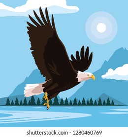 bald eagle bird flying with landscape