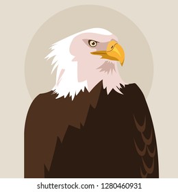 bald eagle bird icon
