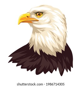 bald eagle bird national icon