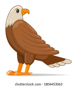 Bald eagle bird on a white background. Cartoon style vector illustration