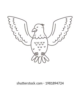 bald eagle bird outline isolated