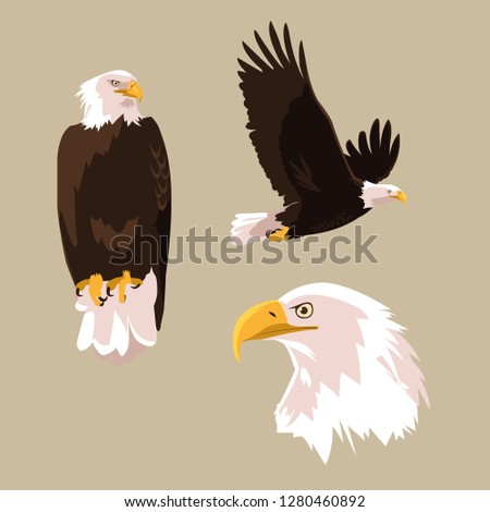Bald Eagle Clipart | Free download on ClipArtMag