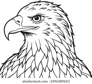  bald eagle bird vector illustration