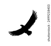 Bald Eagle black silhouette icon. American eagle wild bird of prey soaring. Falcon or hawk carnivore avian animal flight up vector outline illustration isolated on white