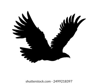 Bald Eagle schwarze Silhouette Symbol. Amerikanische Adler, Vektorgrafik, einzeln auf weiß. Wilder Raubvogel steigt in die Höhe. Falken- oder Falkenraubtierflug