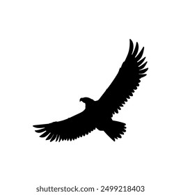 Bald Eagle black silhouette icon. American eagle wild bird of prey soaring. Falcon or hawk carnivore avian animal flight up vector outline illustration isolated on white