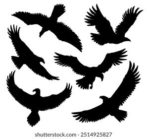 Conjunto de iconos de silueta negra de águila calva. Ilustración de contorno de Vector de águila americana aislada en blanco. Pájaro salvaje de presa que se eleva. Vuelo de animales carnívoros halcón o halcón